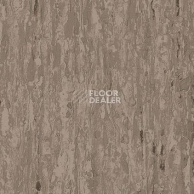 Линолеум Tarkett iq Optima BROWN BEIGE 0899 фото 1 | FLOORDEALER